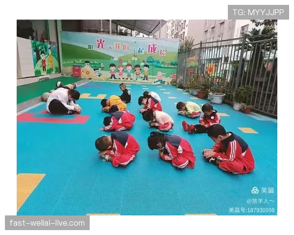 起跳接触判罚规则详解，掌握判定标准和依据
