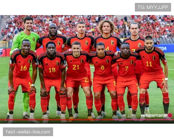 奥地利冲击2026世界杯:萨比策领衔能否突围欧洲区预选赛 奥地利冲击2026世界杯:萨比策领衔能否突围欧洲区预选赛